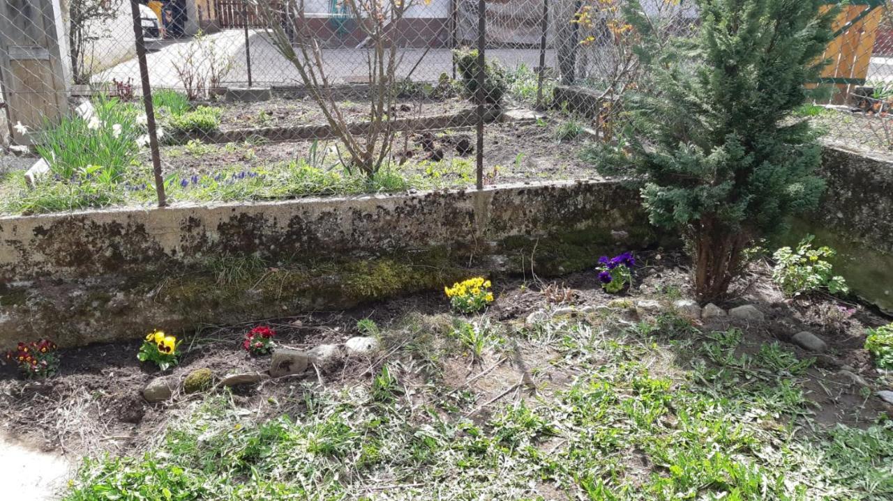 Casa Mascia Villa Cencenighe Kültér fotó